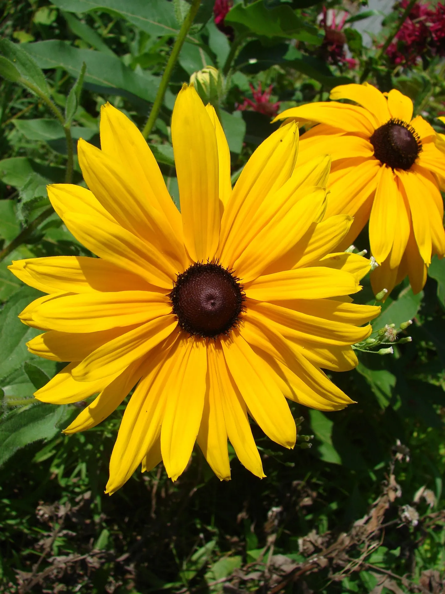 Feature Image