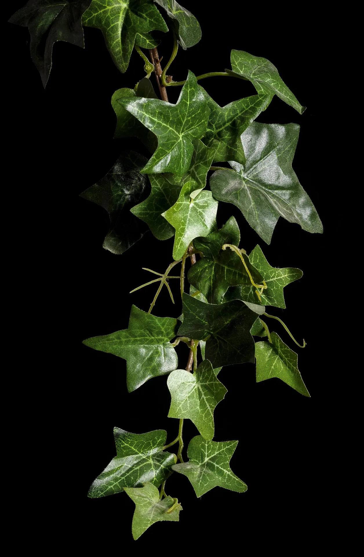 Feature Image