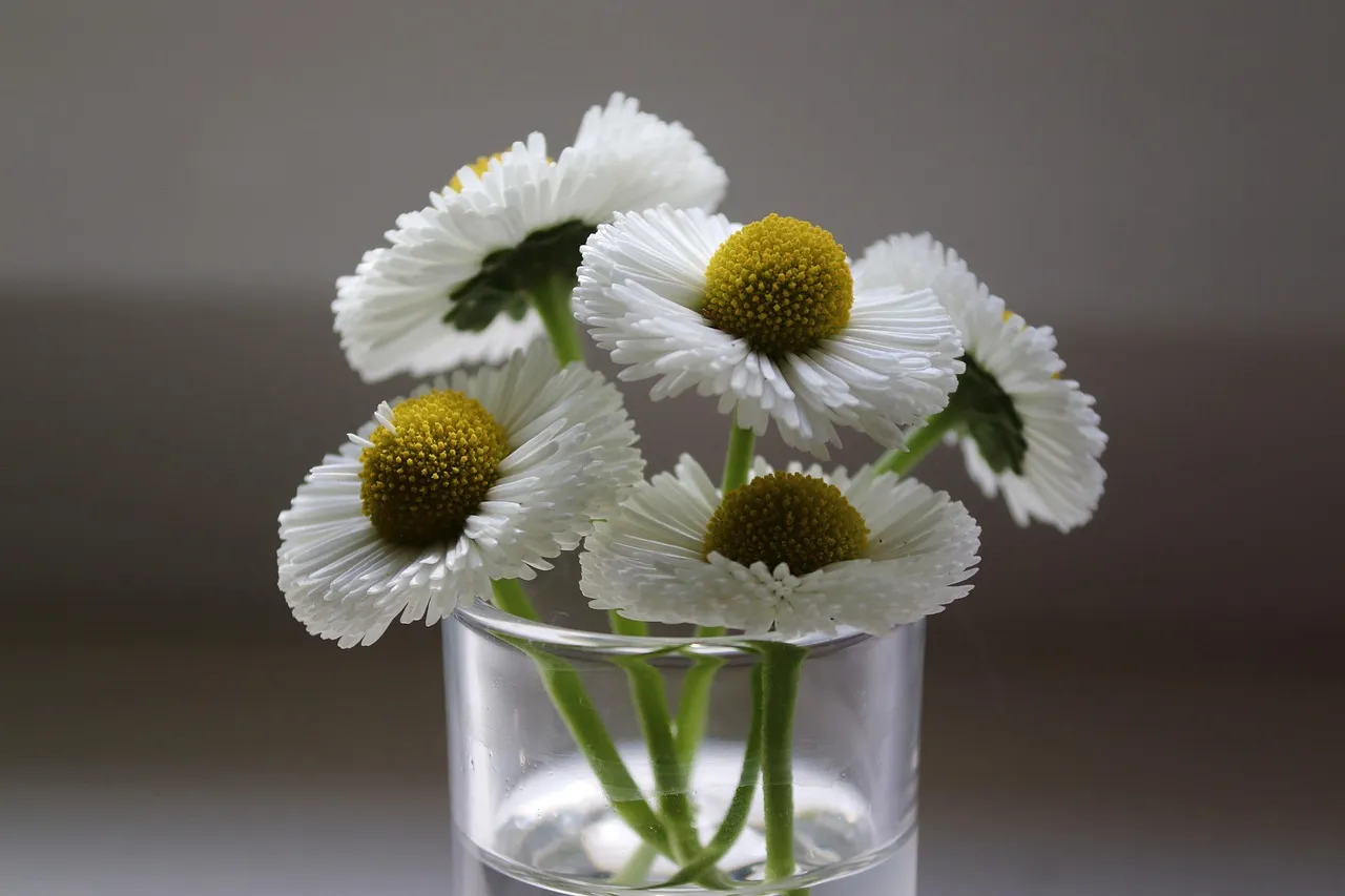 Feature Image