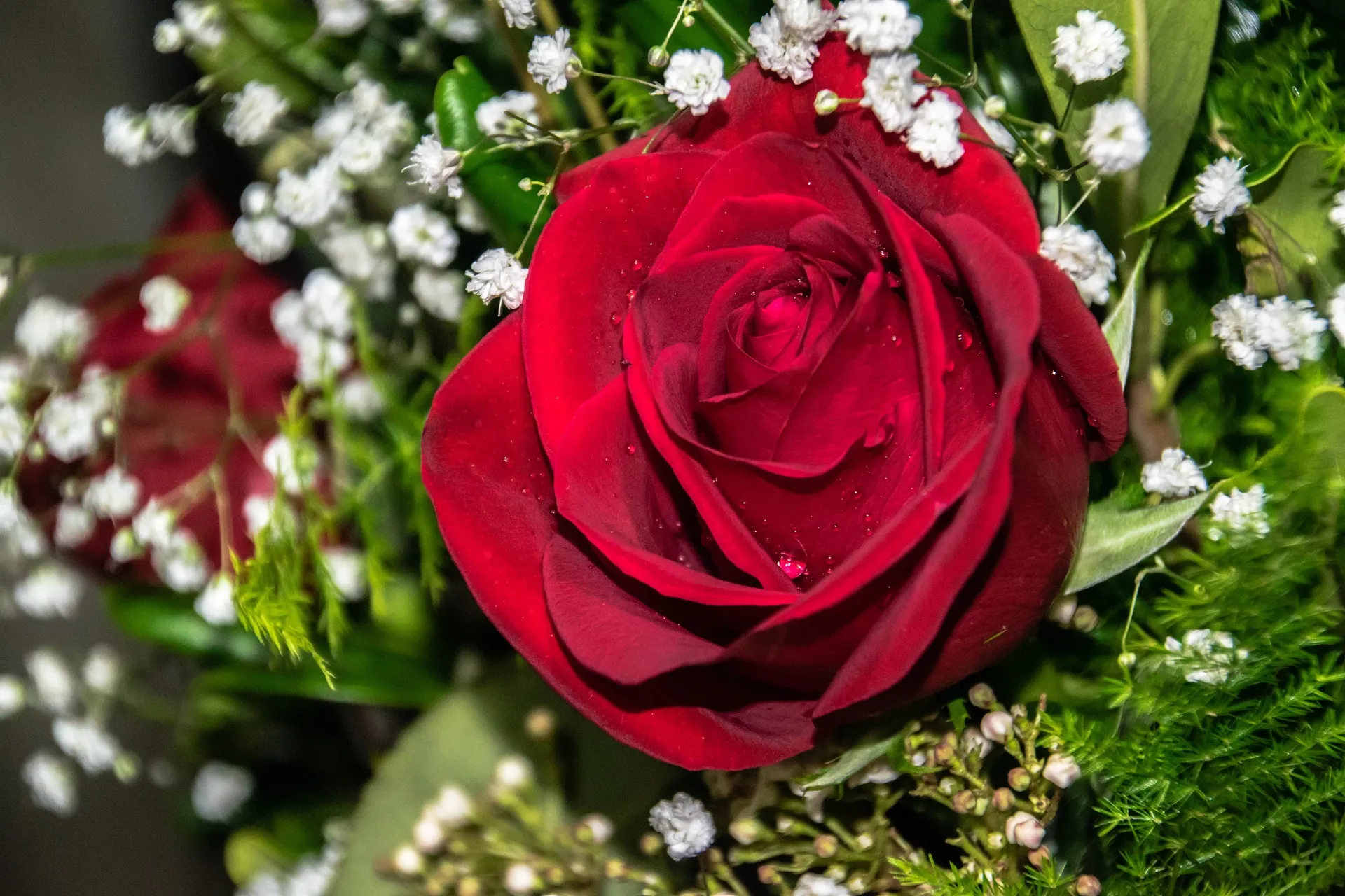 Feature Image