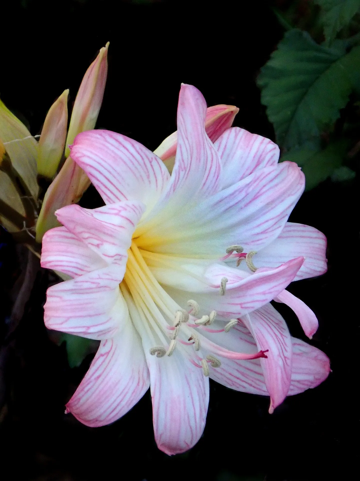 Feature Image