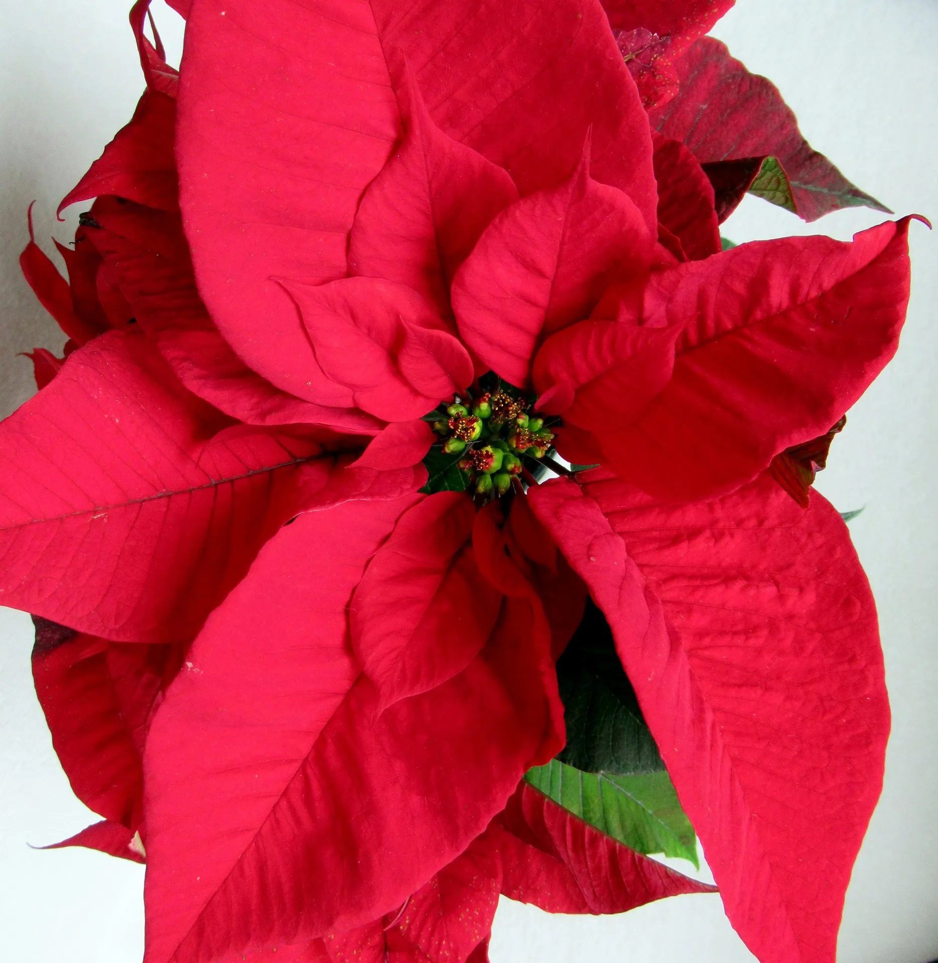 Feature Image