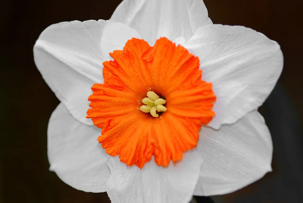 Feature Image