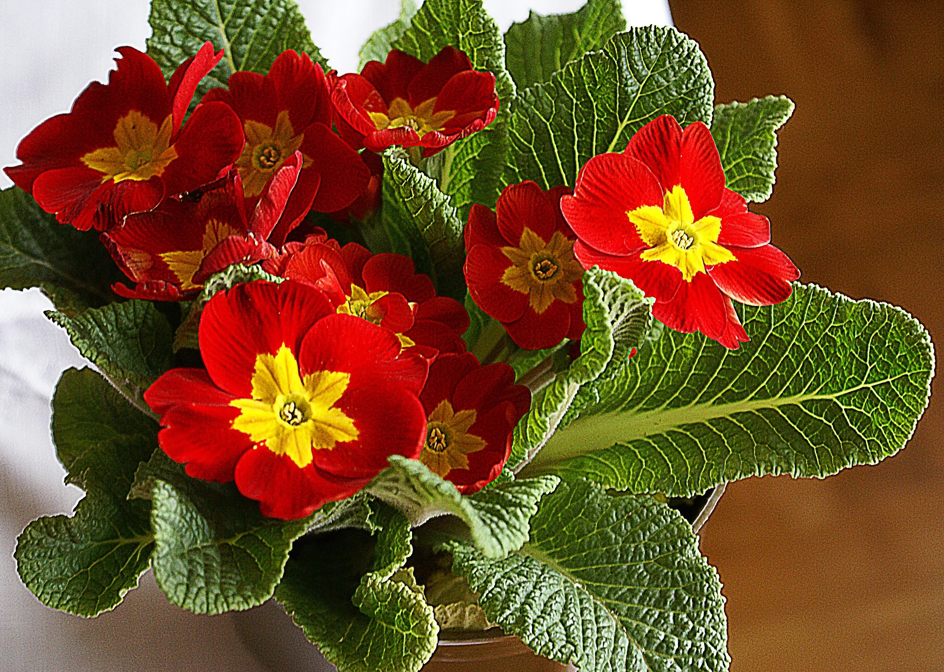 Feature Image