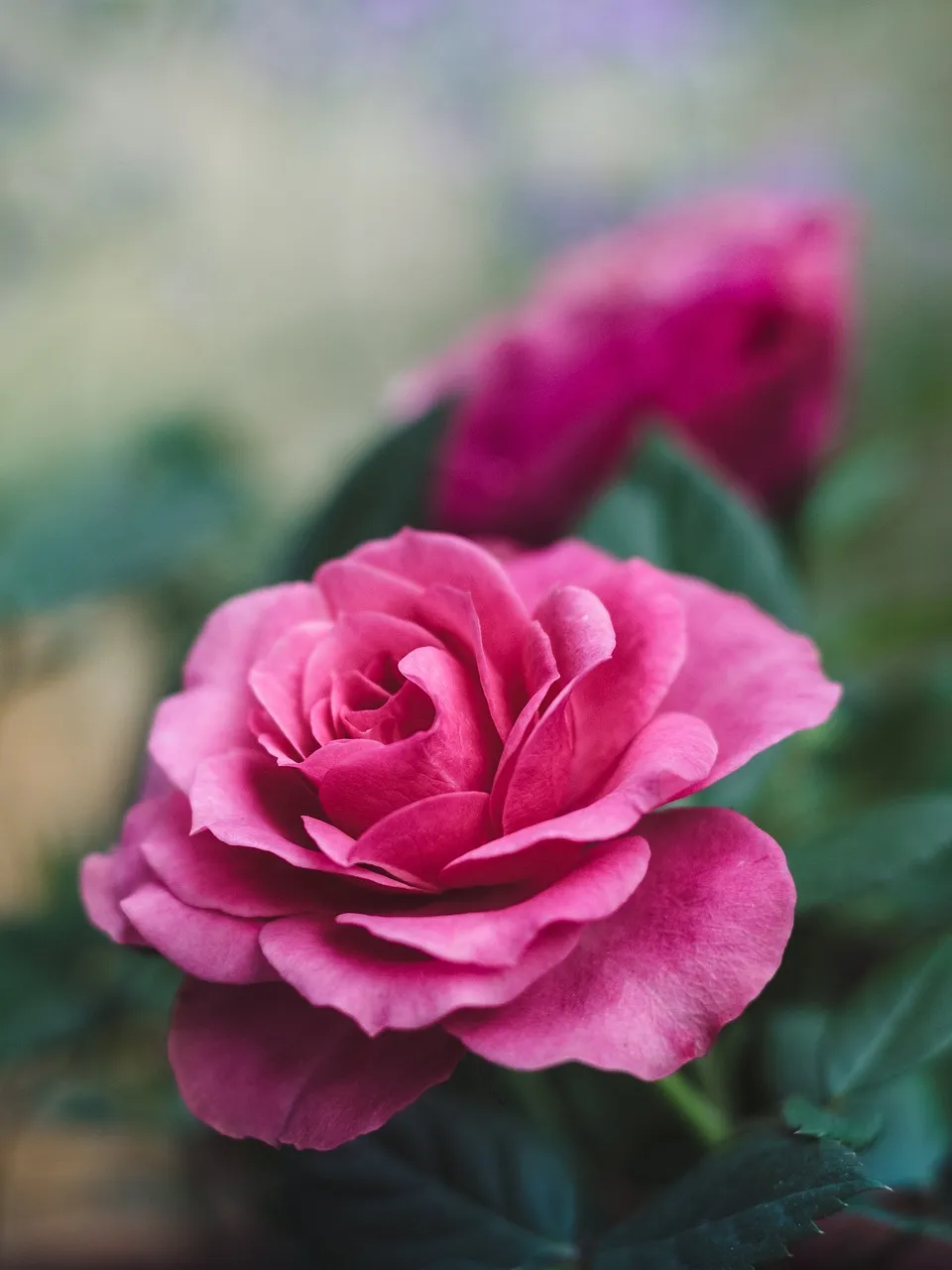 Feature Image
