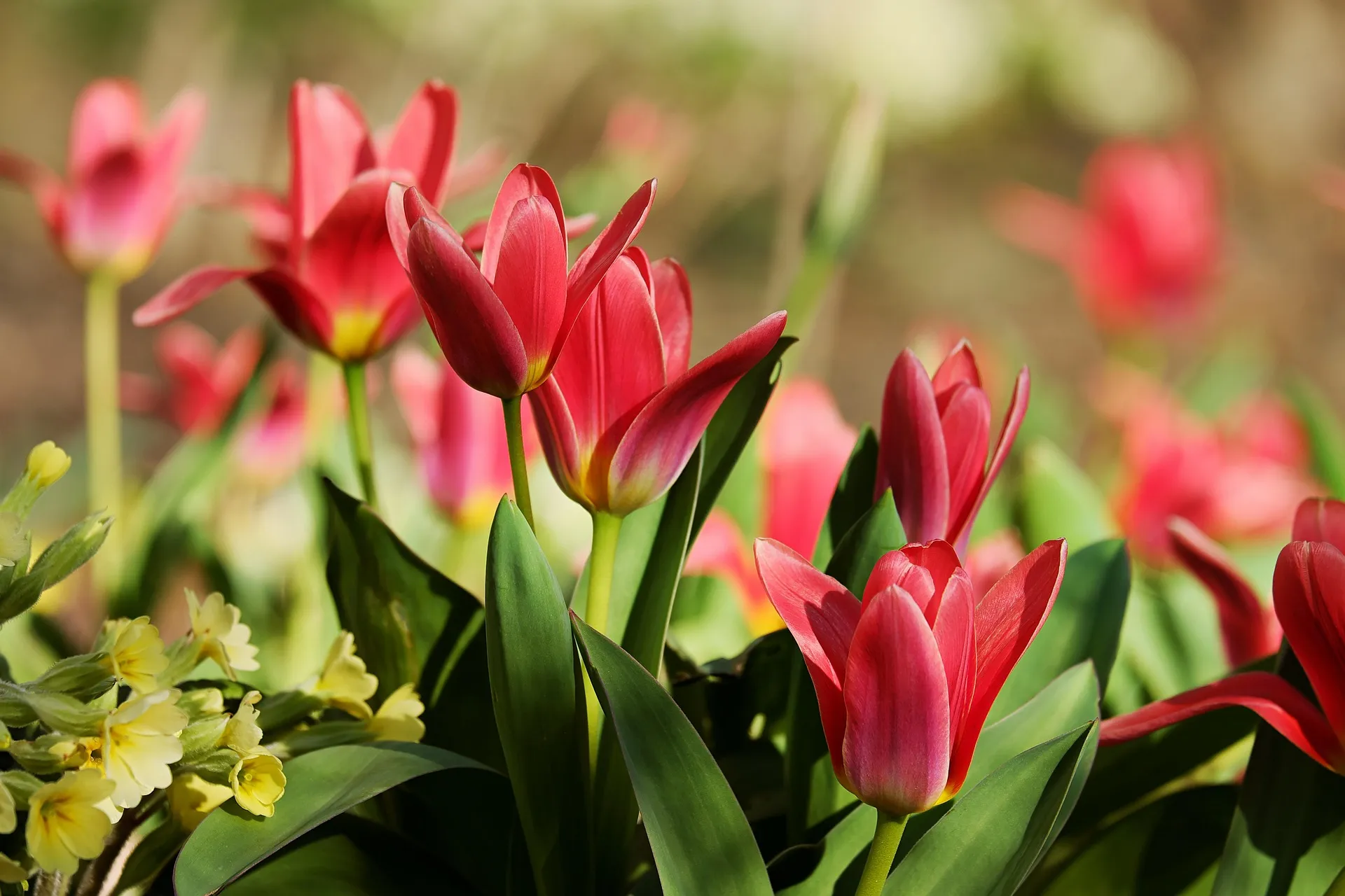 Feature Image