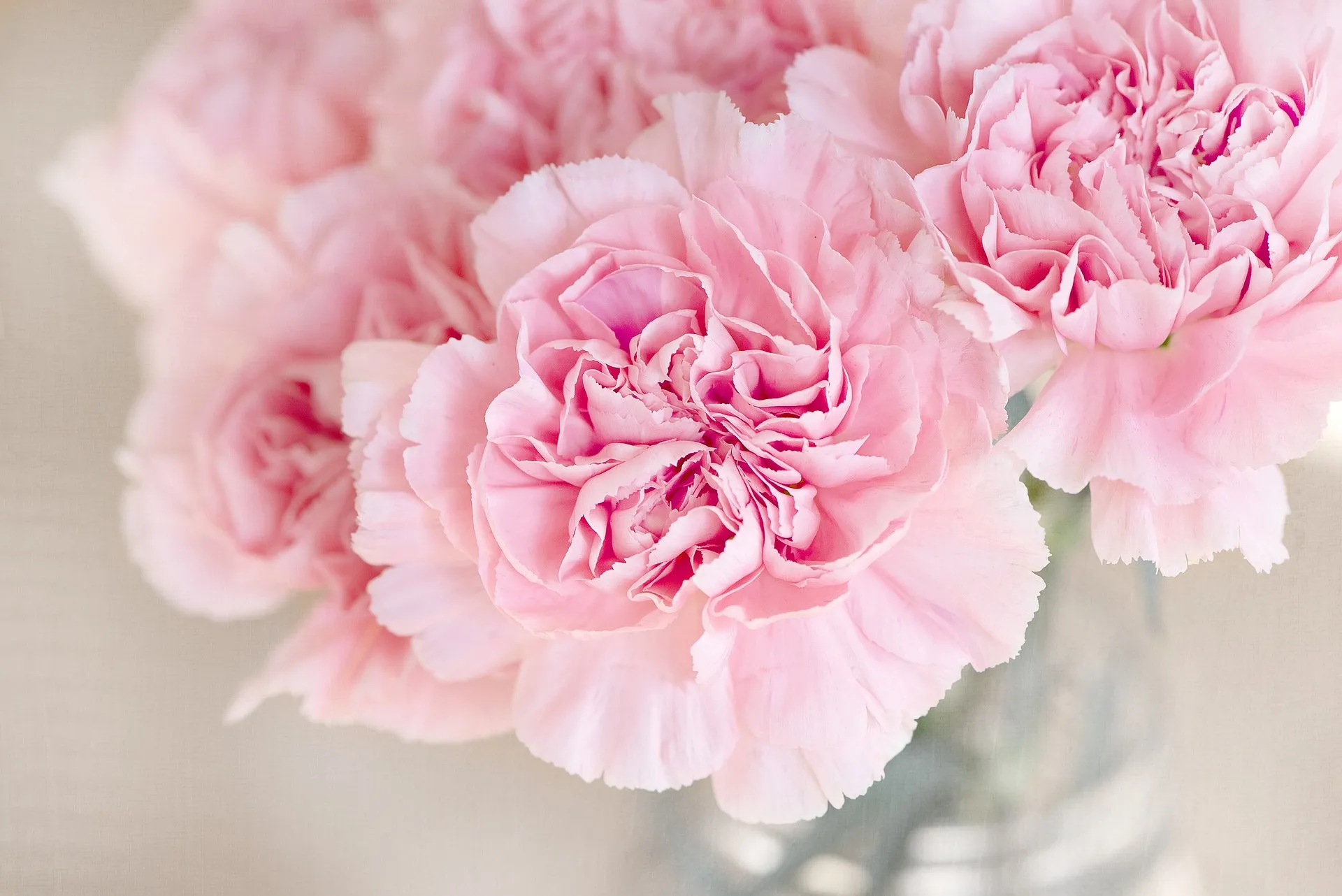 Feature Image