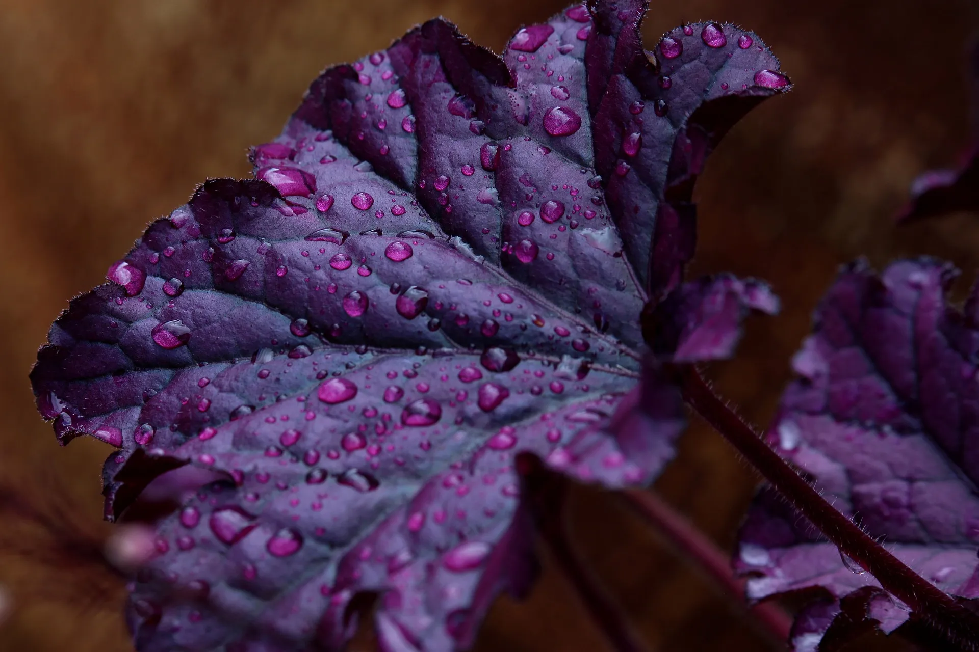 Feature Image