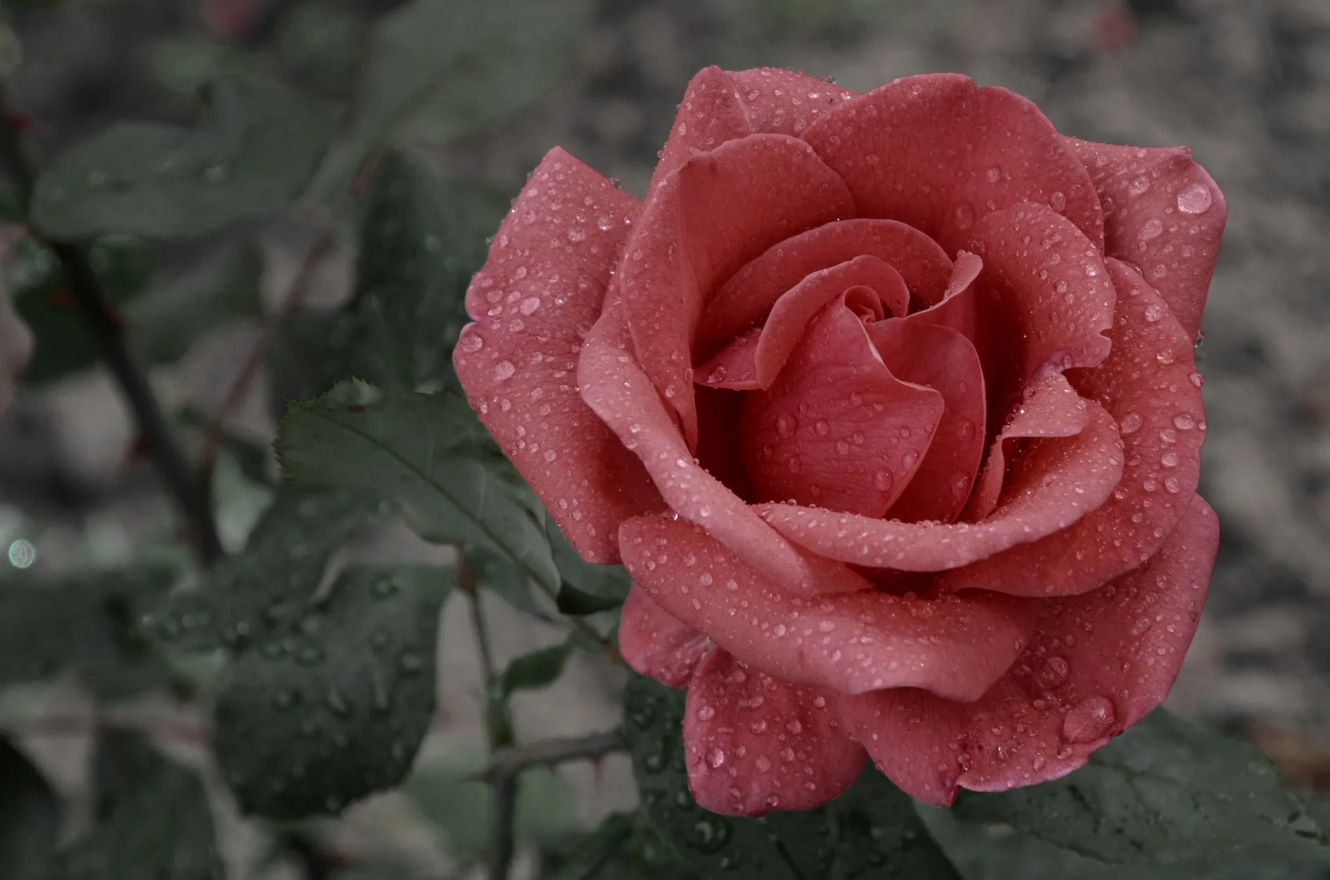 Feature Image