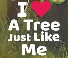Reviews of A Tree Just Like Me - #1