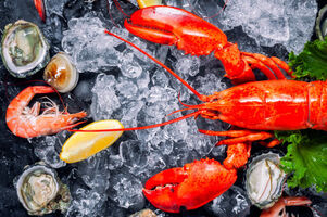 Long-known for its rich and historic tradition of lobstering