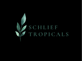 Schlief Tropicals