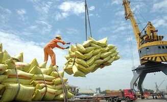 Free trade agreements (FTAs) have opened a wide door for Vietnam’s rice exports.