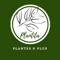 Plantita.Shop