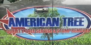American Tree & Landscaping LLC