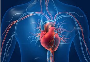 Cardio vascular care supplements  - #8