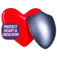 Red heart protected by metal shield with Protect Heart & Circulation text, highlighting a selection of supplements for cardiovascular support.