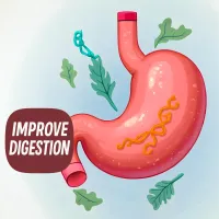 Illustrated stomach with greens and Improve Digestion text, highlighting a selection of supplements for gut health and digestive support.