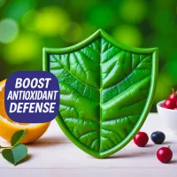 Green leaf shield with berries and Boost Antioxidant Defense text, highlighting a selection of supplements for cellular protection and vitality.