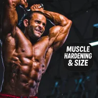 Muscle Hardening & Size
