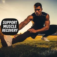 Support Muscle Recovery