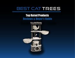 Best Cat Tree For Large Cats Reviews