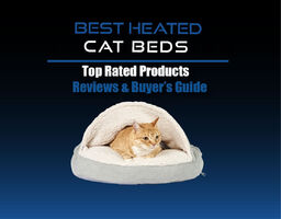 Best Heated Cat Beds Reviews
