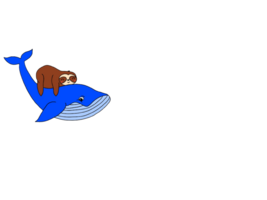 slowhalestore