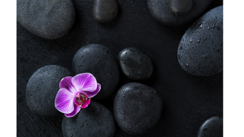 Healing Heat: The Magic of Hot Stone Massage