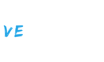 VE Performance 