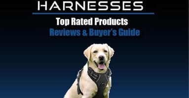 Best Dog Harnesses Reviews 