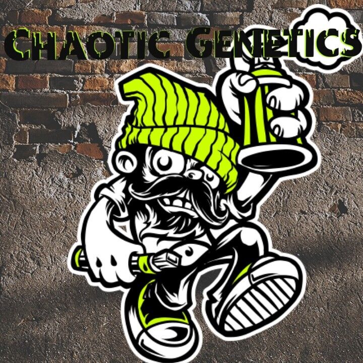chaotic-genetics.company.site