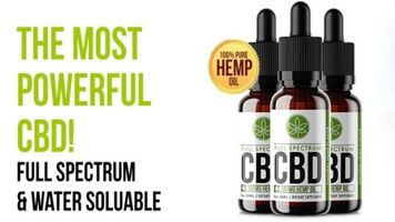 Pure CBD Oil Canada