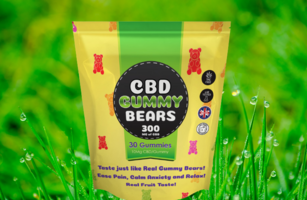Green CBD Gummy Bears Russell Brand UK 