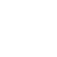Valor Team Store