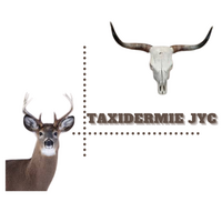 Taxidermie JYC