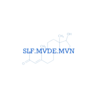 slf.mvde.mvn LLC