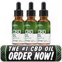 Green Canyon CBD Oil Usage and Dosage
