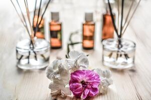What is Scents Hub Collections?