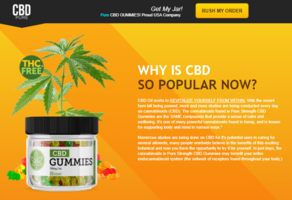 Gold Bee CBD Gummies Review – Pain Relief With Gold Bee CBD Gummies!