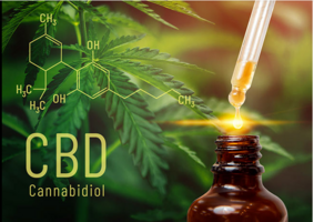 How does CBD Products work?