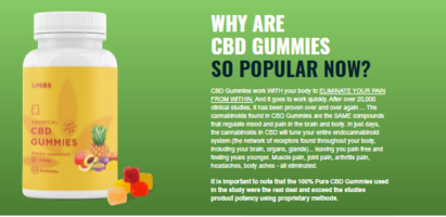 Definitively precisely how might the Gummies work?