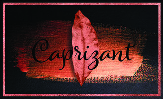 Caprizant Bridal & Formal