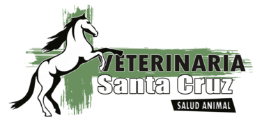 Veterinaria Santa Cruz