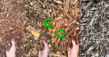 Wood Chips: How to Choose the Right Type for Your Project