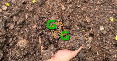 Mushroom Compost: Benefits & Uses