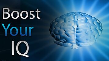 How Does Alpha IQ Brain Work?