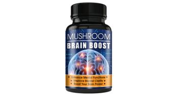 Mushroom Brain Boost