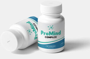 Elements of ProMind Complex: