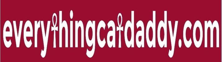 Everything Catdaddy